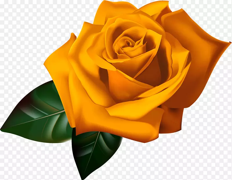 罗莎‘林肯先生’桌面壁纸夹艺术-黄色玫瑰