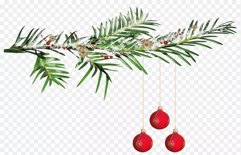 新年圣诞树装饰剪贴画-松果