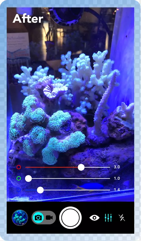 水族馆照明珊瑚礁放射线-水族馆
