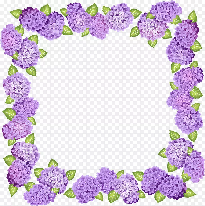 边框和相框.剪贴画.紫色的花