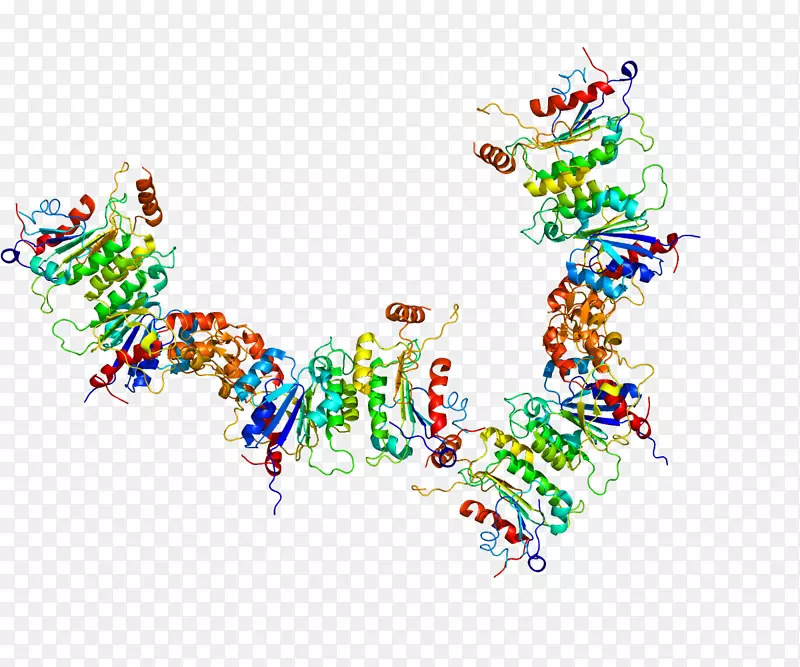 DNA(胞嘧啶-5)-甲基转移酶3a DNA甲基化酶-DNA