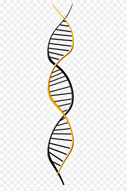 遗传学DNA提取基因组DNA