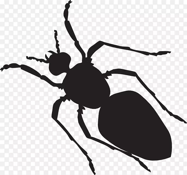 黑色花园蚂蚁贴纸剪贴画-蚂蚁