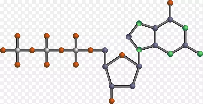 核酸腺嘌呤生物分子核苷酸-dna