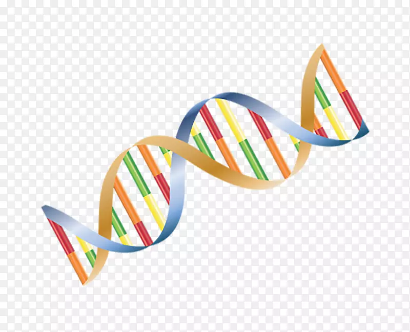 早发性阿尔茨海默病痴呆遗传性痉挛性截瘫-dna