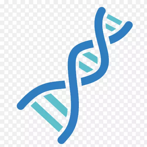 遗传学计算机图标dna实验室基因工程生物学