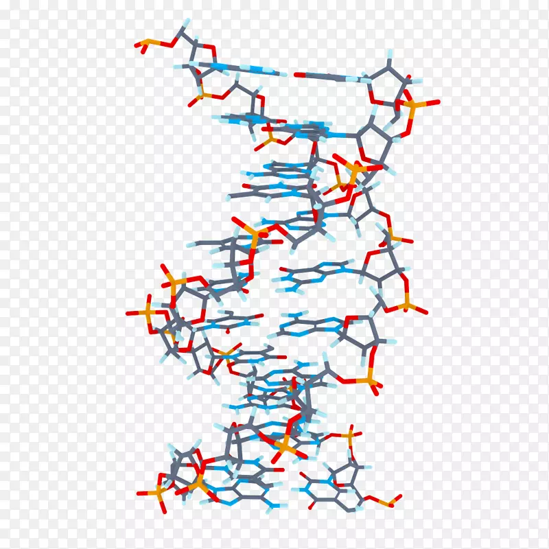 DNA剪贴画-生物学