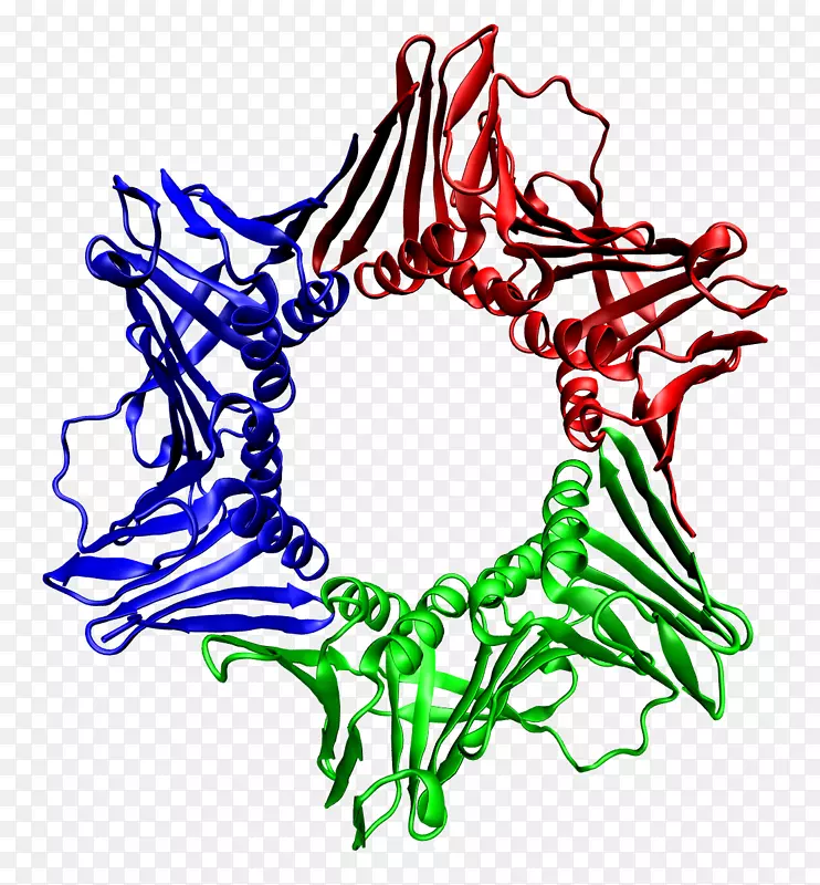 dna钳夹dna复制dna聚合酶增殖细胞核抗原-生物学