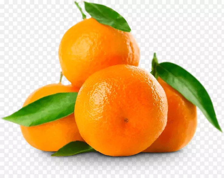柑桔，桔子，橘子.橘子