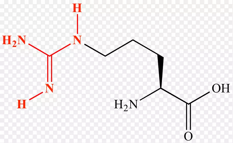 氨基酸胺胍蛋白路易斯结构化学