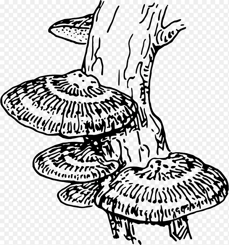 真菌绘图，着色书，剪贴画.真菌
