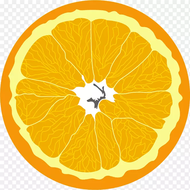 维生素e食品b维生素营养.柑橘类