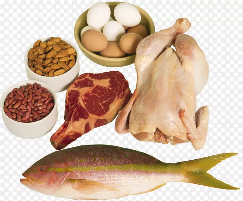 高蛋白饮食食品非素食食品