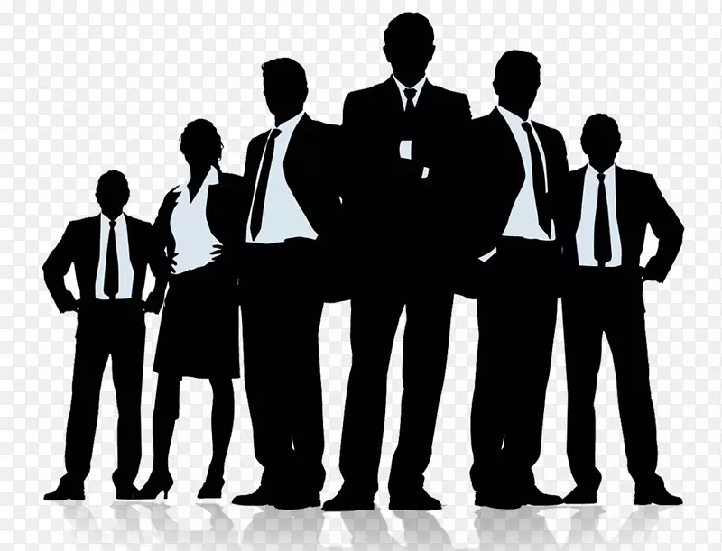 高级管理业务项目经理领导-业务小组