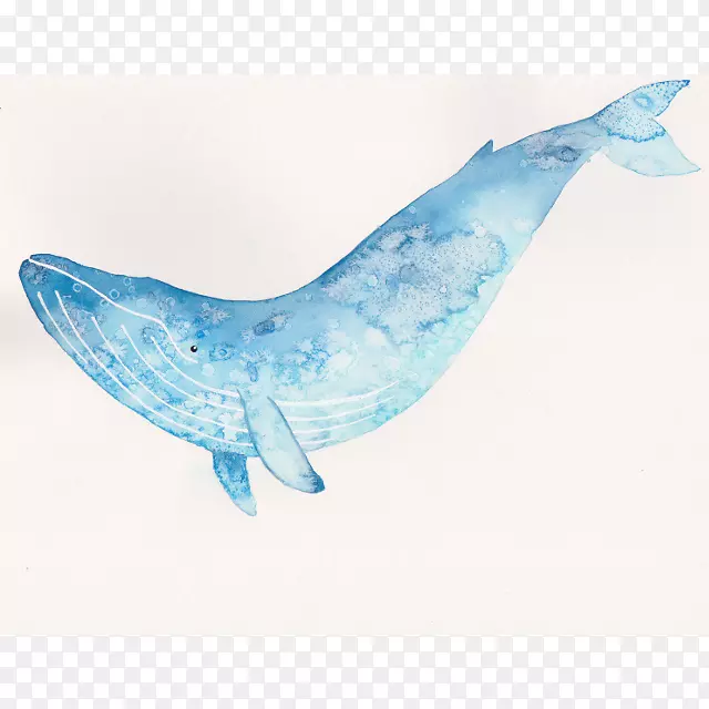 蓝鲸水彩画艺术水彩画蓝色
