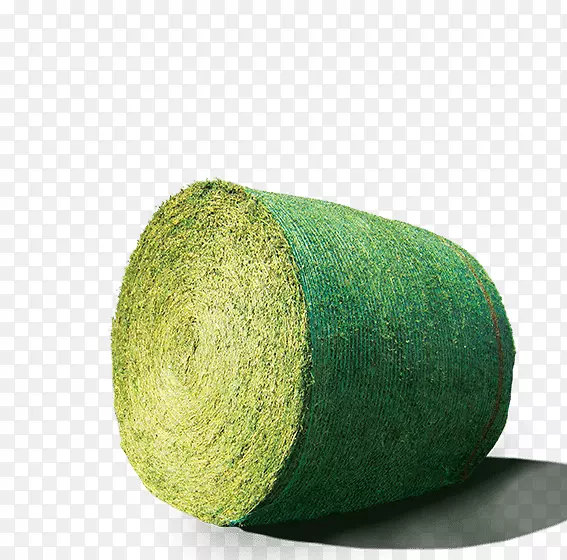 转基因油菜草甘膦甜菜综合防治苜蓿