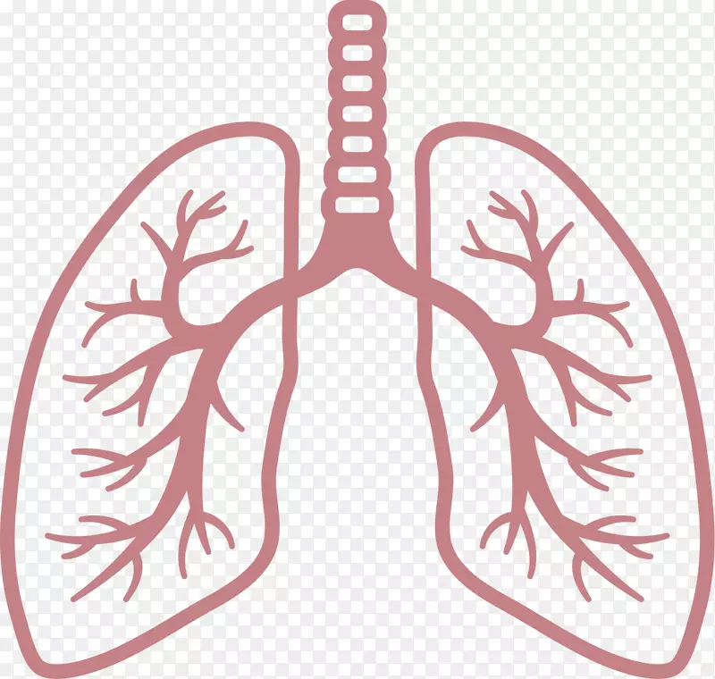 肺呼吸系统电脑图示呼吸系统疾病呼吸-肺