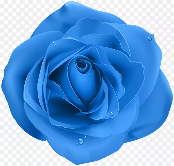 玫瑰紫色桌面壁纸夹艺术-蓝色玫瑰