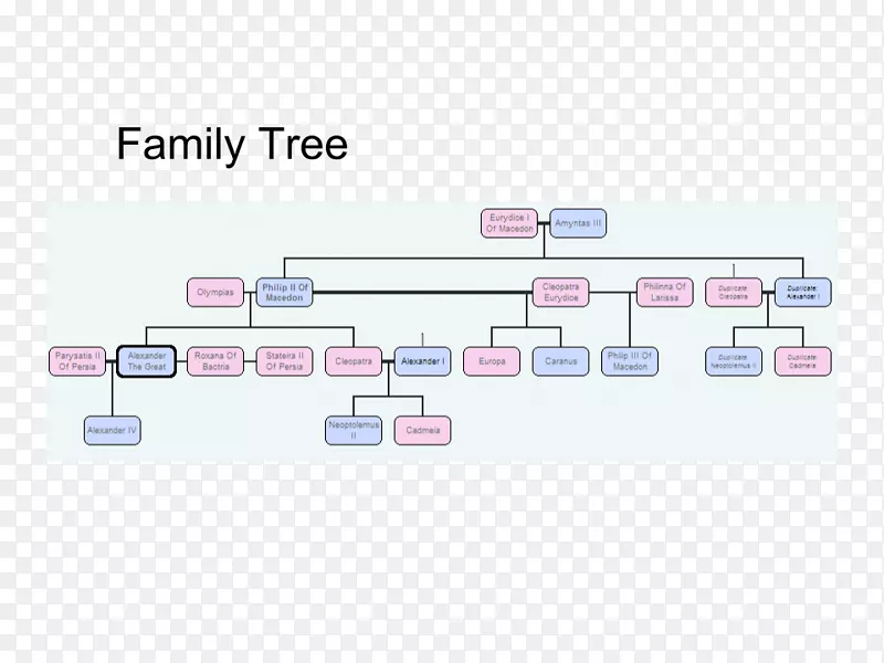 哈迪斯家族扩展家族系谱-树年表