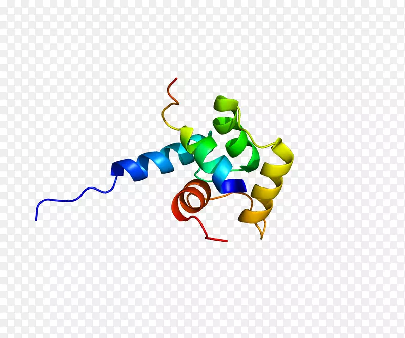 Xpc蛋白核苷酸切除修复色素干燥病Xpb-j