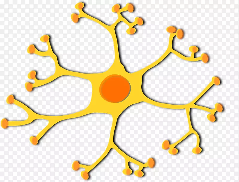 运动神经元细胞剪贴术通路
