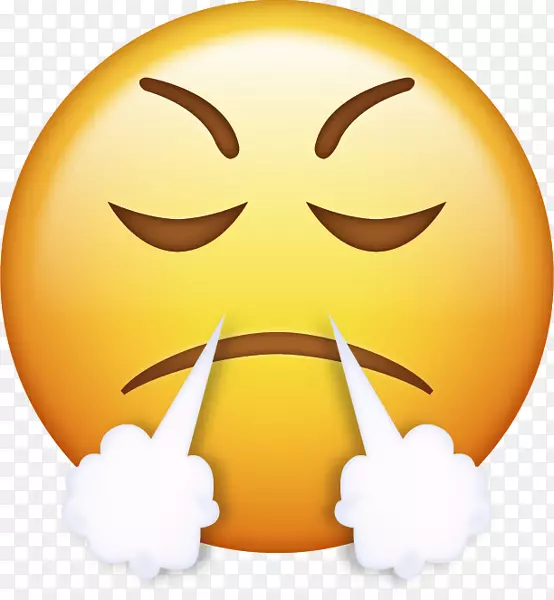 愤怒表情PNG图片素材下载_图片编号782587-PNG素材网