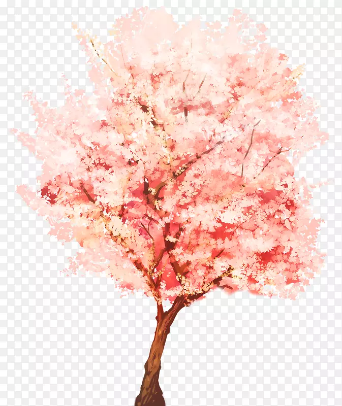 树木素描植物网通水彩画-樱花水彩画