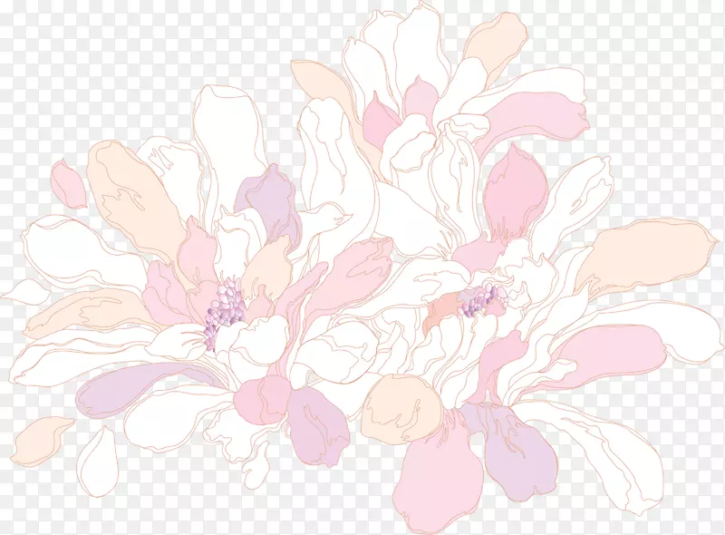 花卉图案花瓣图案-牡丹