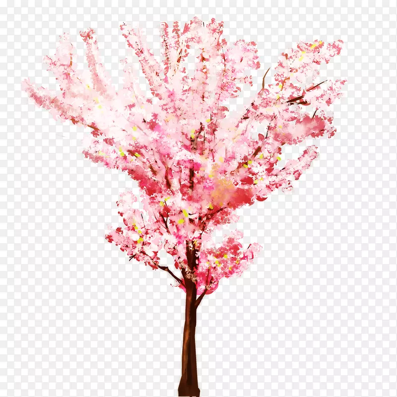 枝条-樱花水彩画