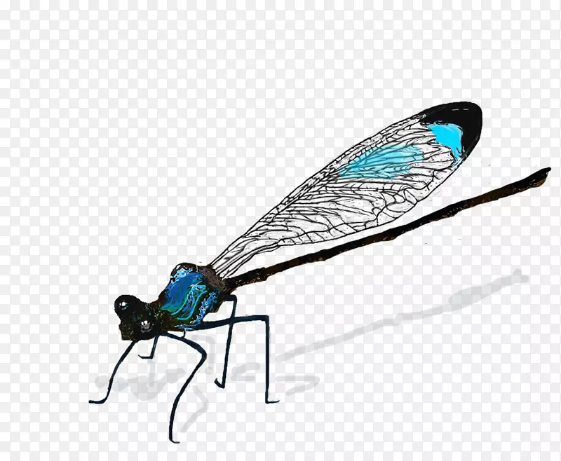 昆虫蜻蜓画花蝇-龙蝇