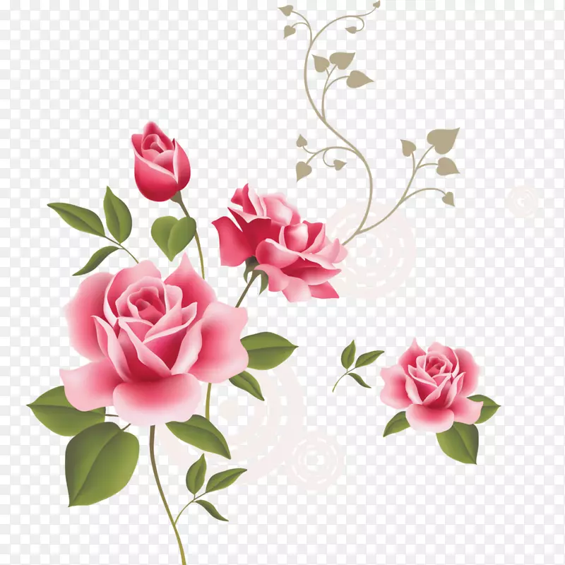 玫瑰粉色剪贴画-花纹