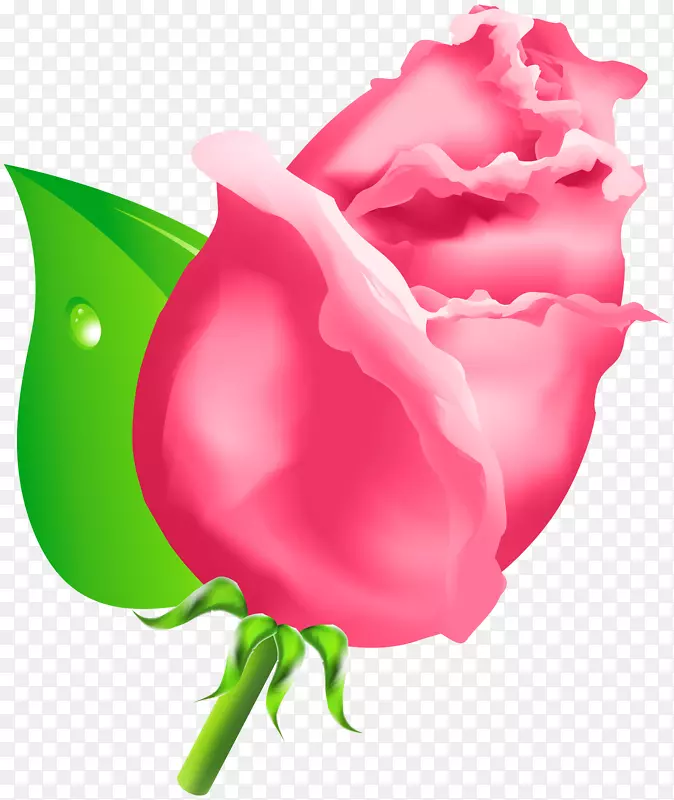 玫瑰花蕾夹艺术花环花