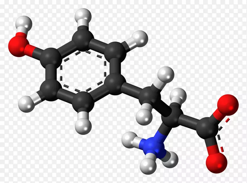 酪氨酸去甲肾上腺素左旋多巴氨基酸苯丙氨酸-1