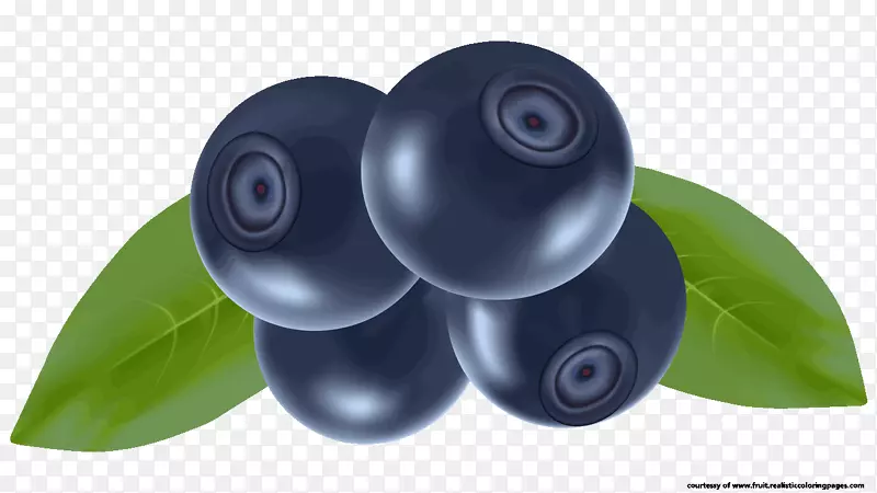 蓝莓果奥格里斯剪贴画-蓝莓