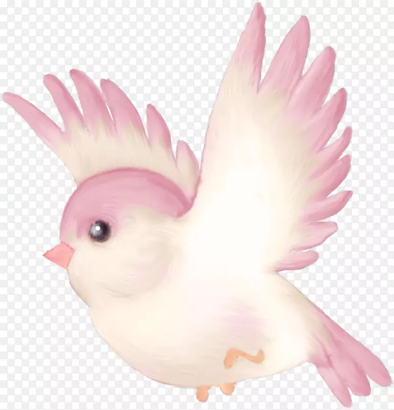 鸟类鹦鹉动画剪辑艺术-鸟水彩画