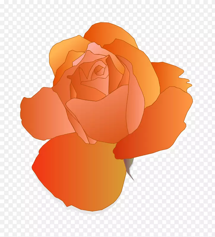 蓝色玫瑰剪贴画-橙色花