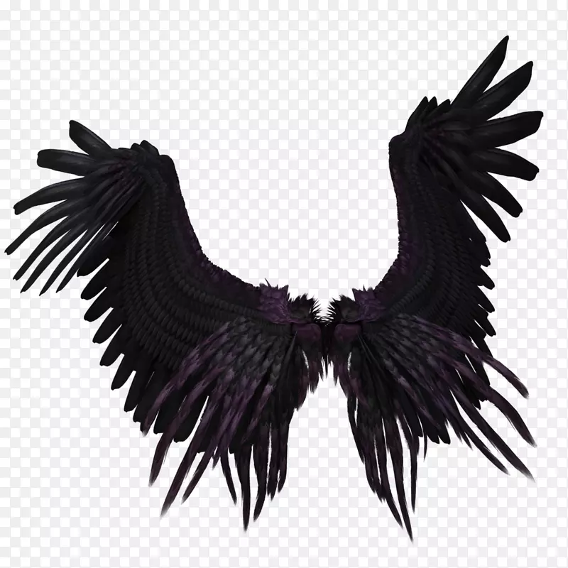 翅膀紫色剪贴画-翅膀