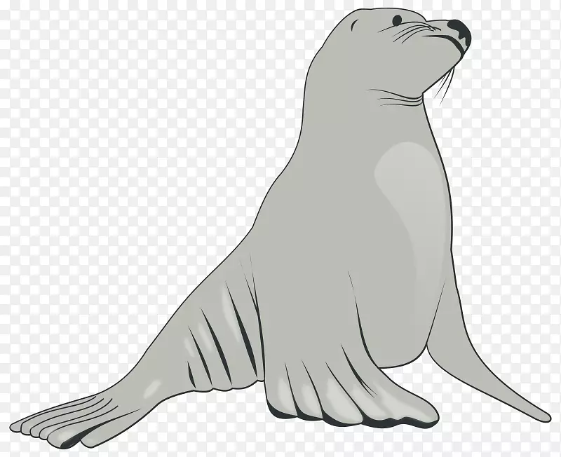 海狮夹艺术-海洋动物