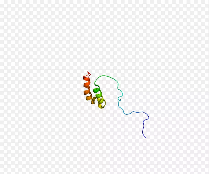 细胞色素c氧化酶蛋白电子传递链线粒体酶-9