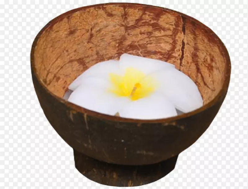 斯里兰卡椰子-椰子茶生产
