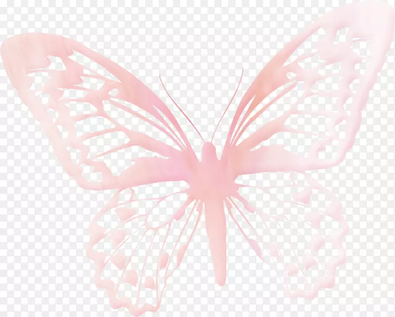 蝴蝶昆虫羽翼绣花花边-粉红色蝴蝶