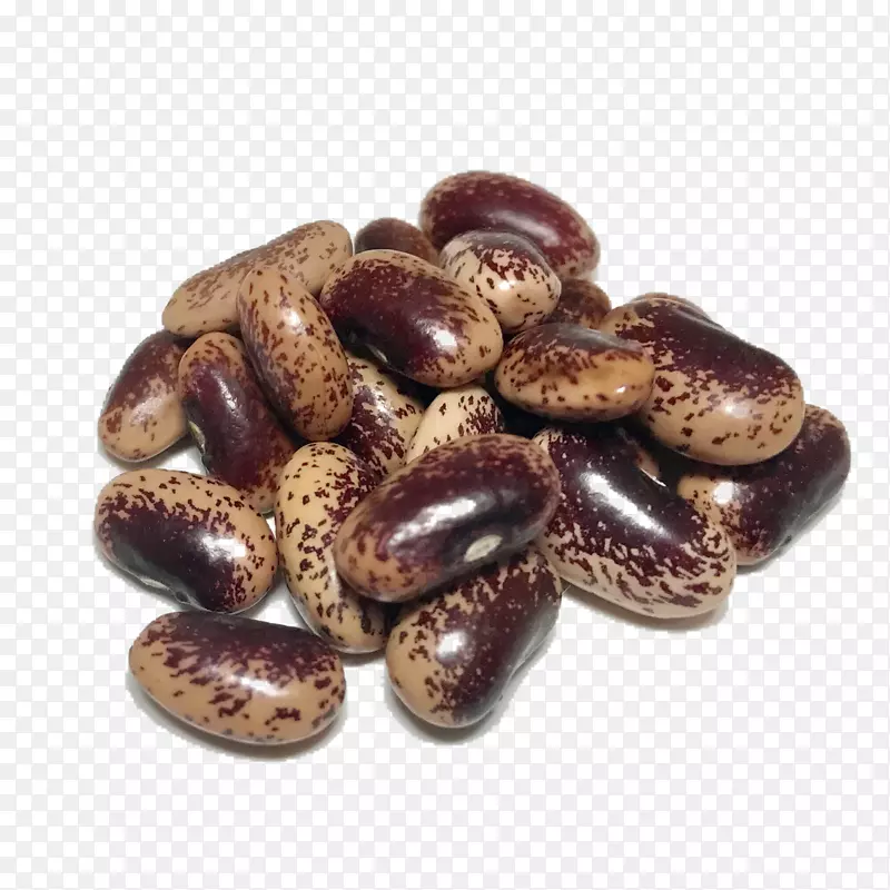 荷兰传家宝豆有机食品传家宝植物豆类