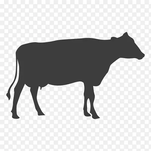 牛的轮廓，院子里的奶昔-奶牛