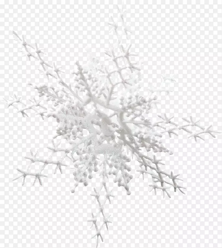 诺夫哥罗德州克霍姆斯基区雪花圣诞剪贴画-雪