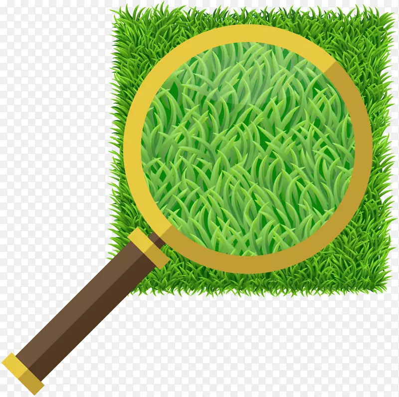 杰克草皮人造草坪合成纤维放大镜草坪