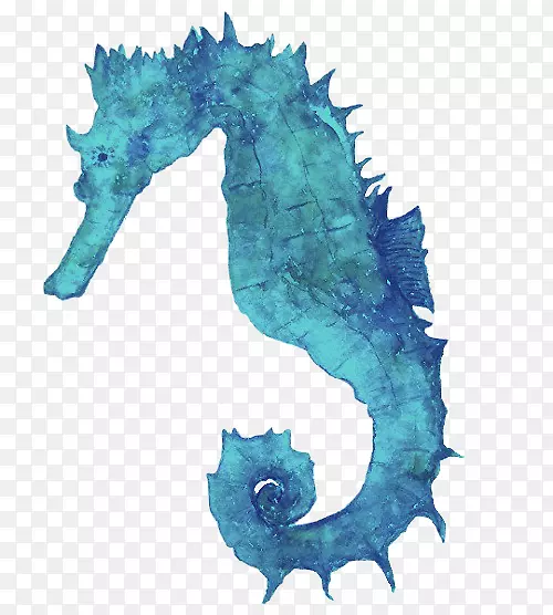 海马水彩：动物水彩画艺术-动物水彩