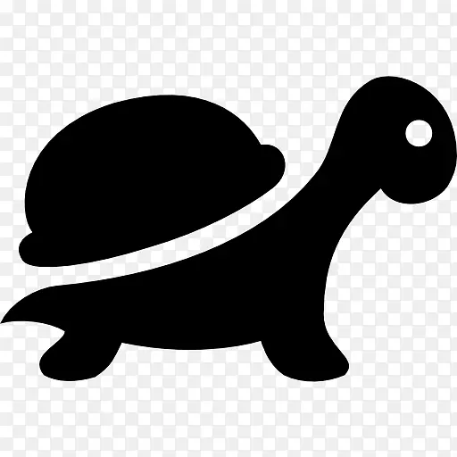 海龟爬行动物蜥蜴计算机图标.乌龟