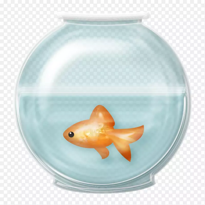 金鱼夹艺术-鱼缸