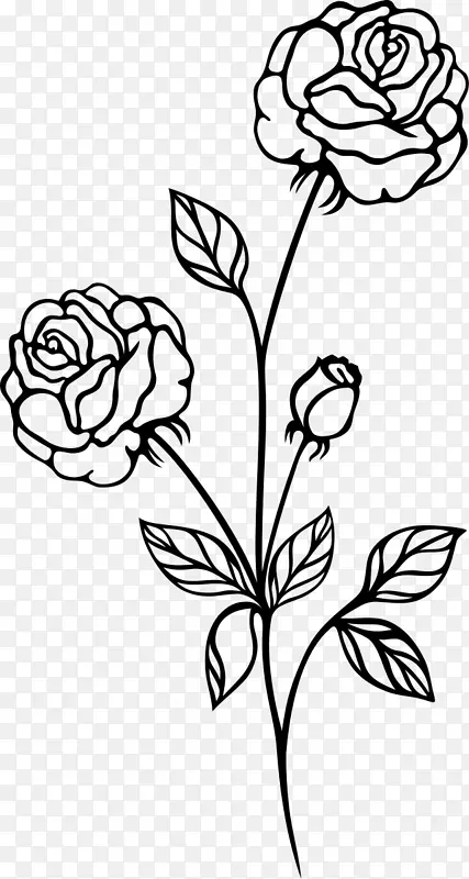 黑玫瑰黑白剪贴画-植物花