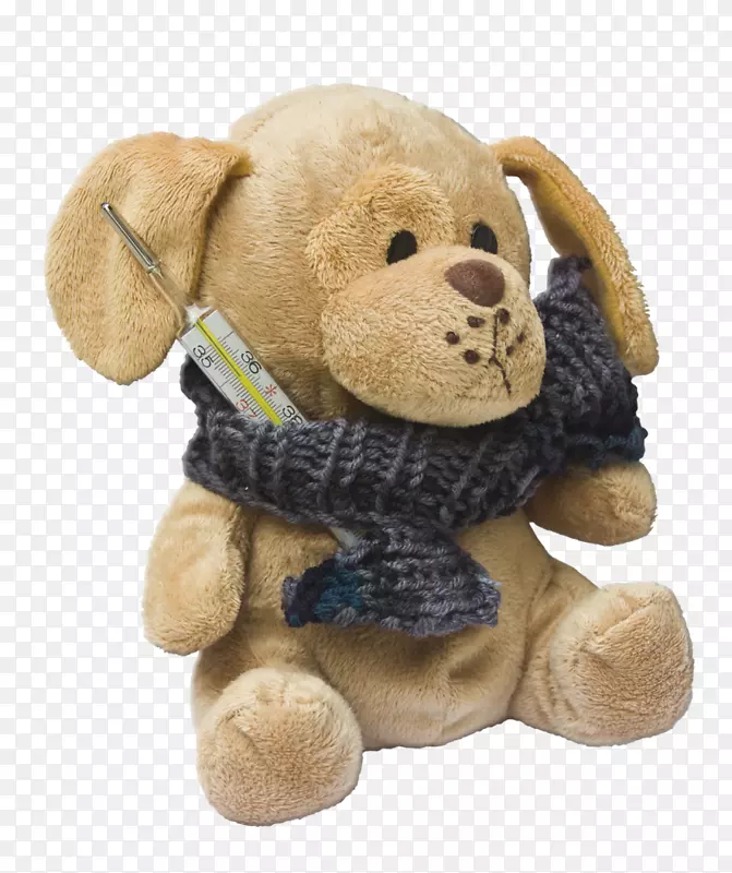 狗热，毛绒动物和可爱的玩具-泰迪